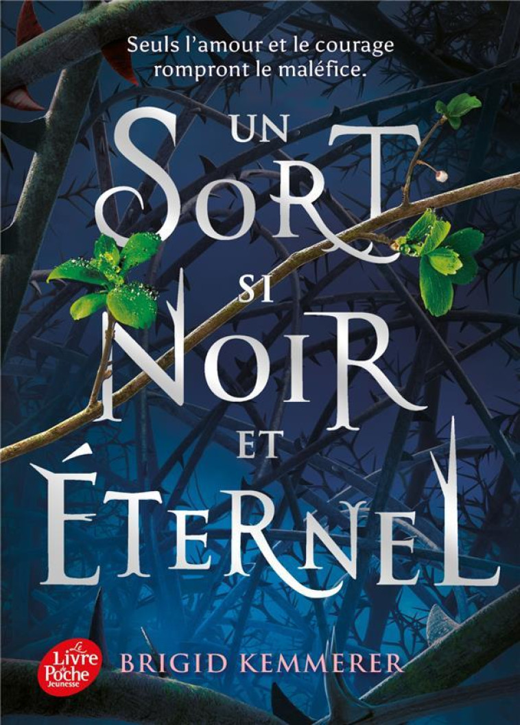 UN SORT SI NOIR ET ETERNEL T01 - KEMMERER BRIGID - HACHETTE