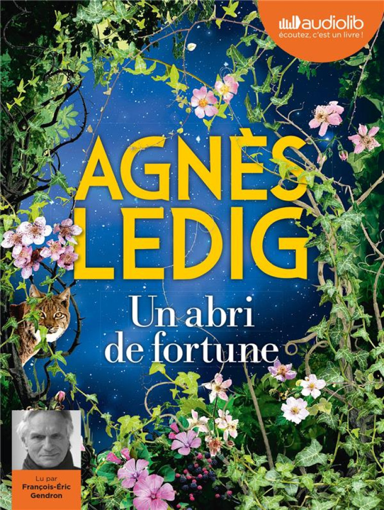 UN ABRI DE FORTUNE - LIVRE AUDIO 1 CD MP3 - LEDIG AGNES - AUDIOLIB