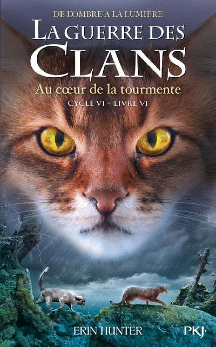 LA GUERRE DES CLANS CYCLE 6 T06 AU COEUR DE LA TOURMENTE - HUNTER ERIN - POCKET