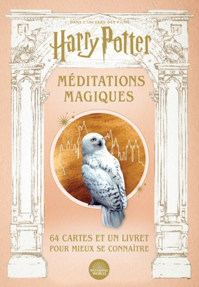 HARRY POTTER, MEDITATIONS MAGIQUES - XXX - HUGINN MUNINN