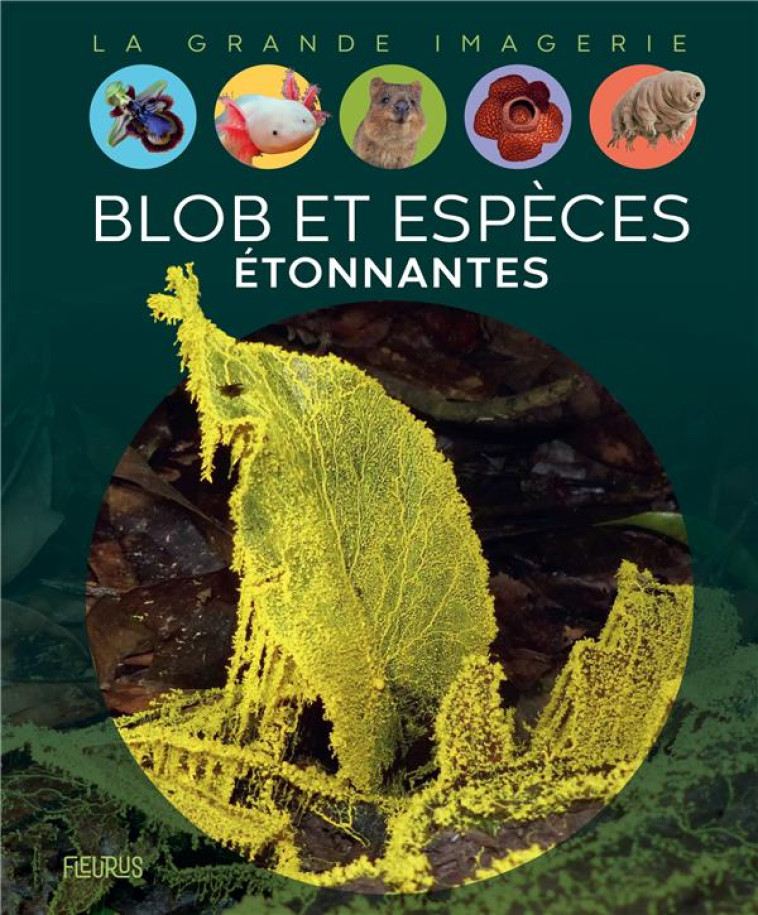 LE BLOB ET ESPECES ETONNANTES - TERNOIS MANON - FLEURUS