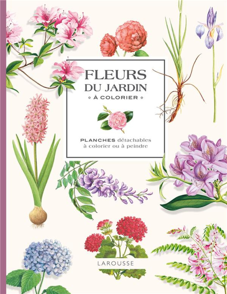 MES FLEURS DU JARDIN A COLORIER - XXX - NC