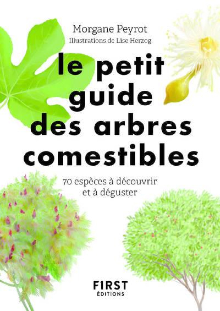 PETIT GUIDE DES ARBRES COMESTIBLES - PEYROT/HERZOG - FIRST