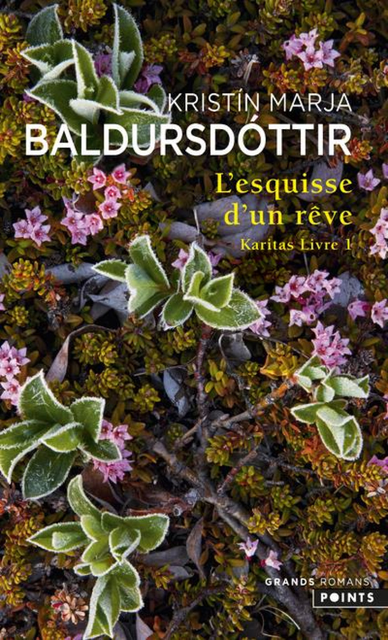 KARITAS LIVRE 1 : L'ESQUISSE D'UN REVE - BALDURSDOTTIR K M. - POINTS