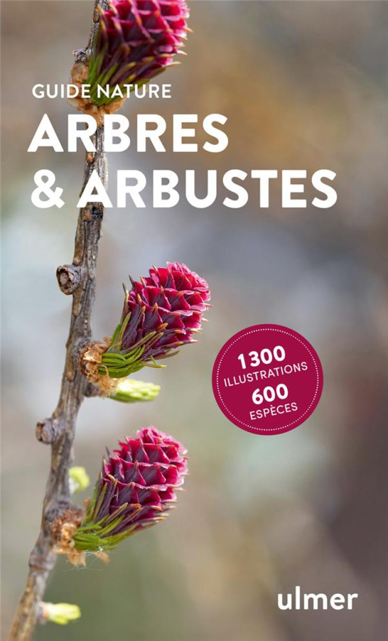 ARBRES ET ARBUSTES - KREMER BRUNO P. - ULMER