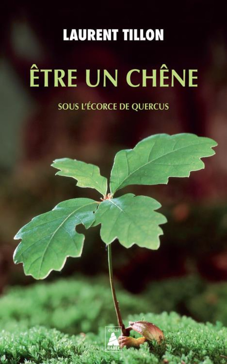 ETRE UN CHENE - SOUS L'ECORCE DE QUERCUS - TILLON LAURENT - ACTES SUD