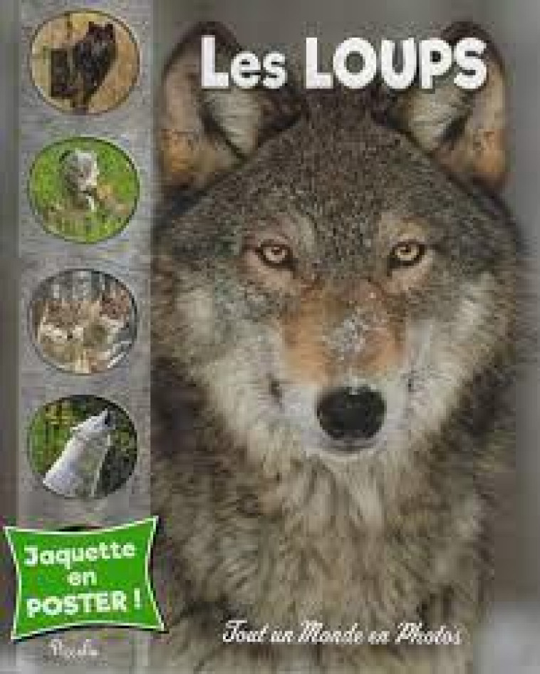 LES LOUPS - COLLECTIF - PICCOLIA