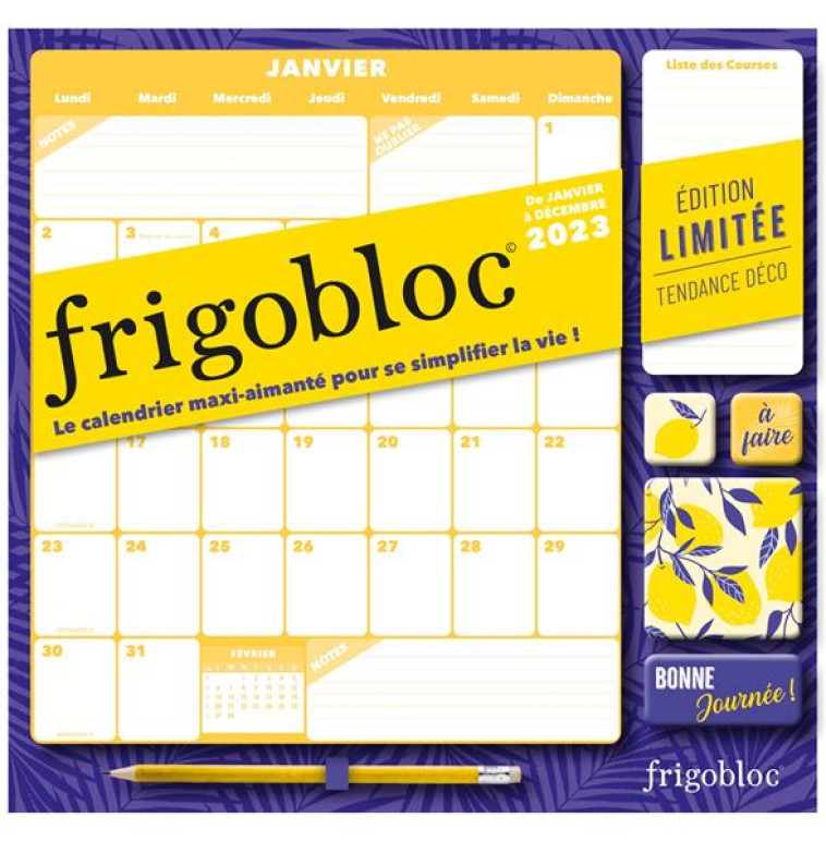 FRIGOBLOC MENSUEL 2023 DECO BLEU (DE JANV. A DEC. 2023) - EDITION LIMITEE - CALENDRIER D-ORGANISATIO - XXX - NC