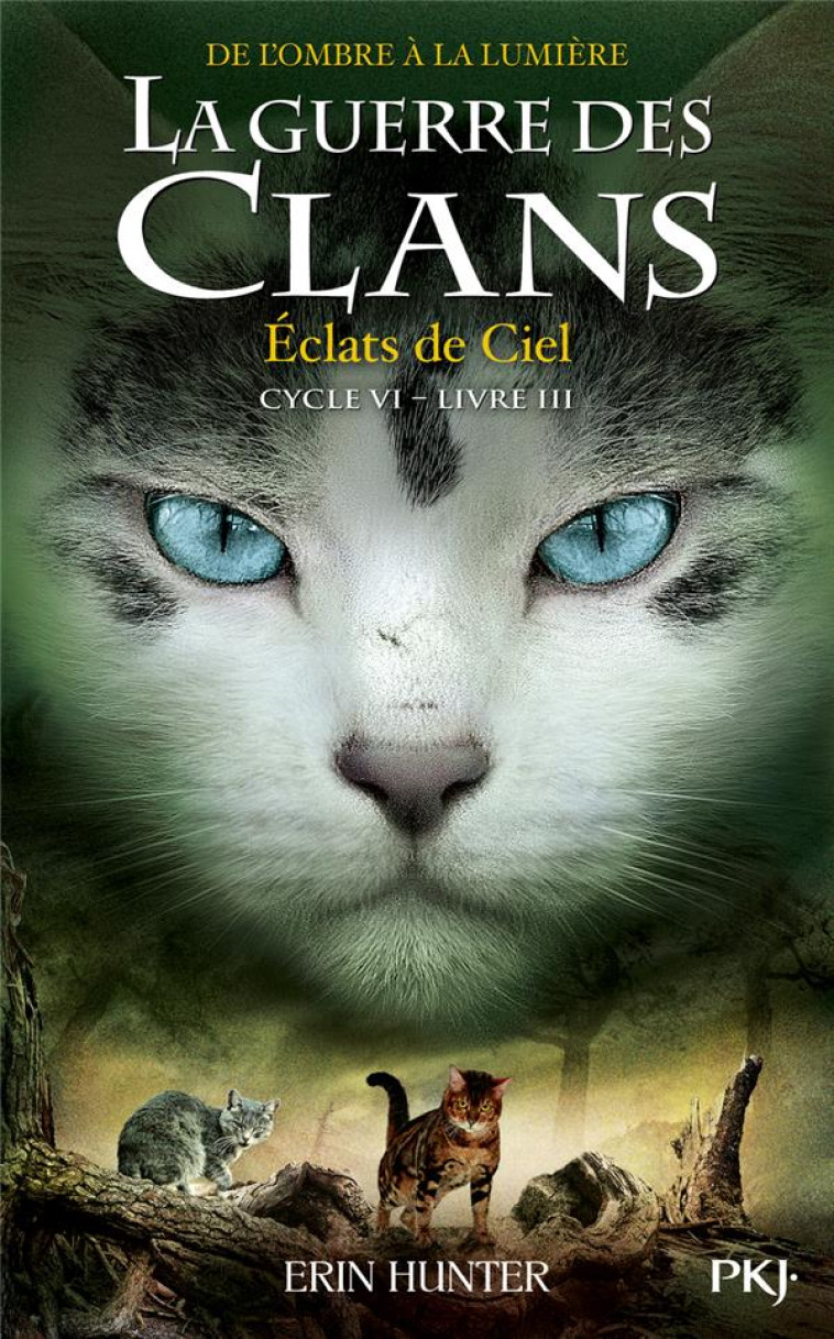 LA GUERRE DES CLANS CYCLE 6 T03 ECLATS DE CIEL - HUNTER ERIN - POCKET