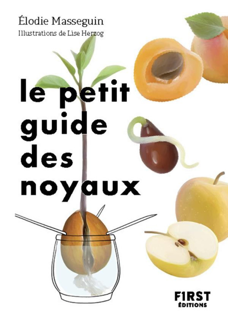 LE PETIT GUIDE DES NOYAUX - COLLECTIF - FIRST