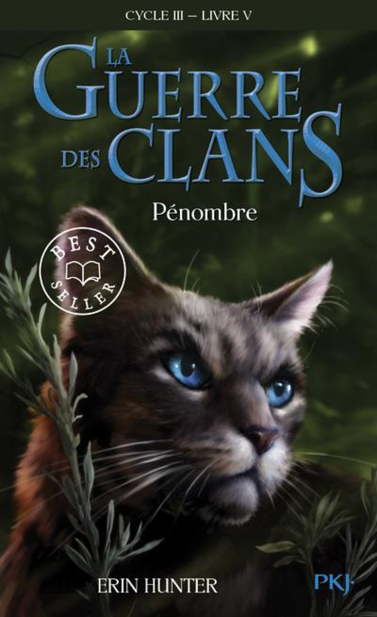 LA GUERRE DES CLANS CYCLE 3 T05 PENOMBRE - HUNTER ERIN - POCKET