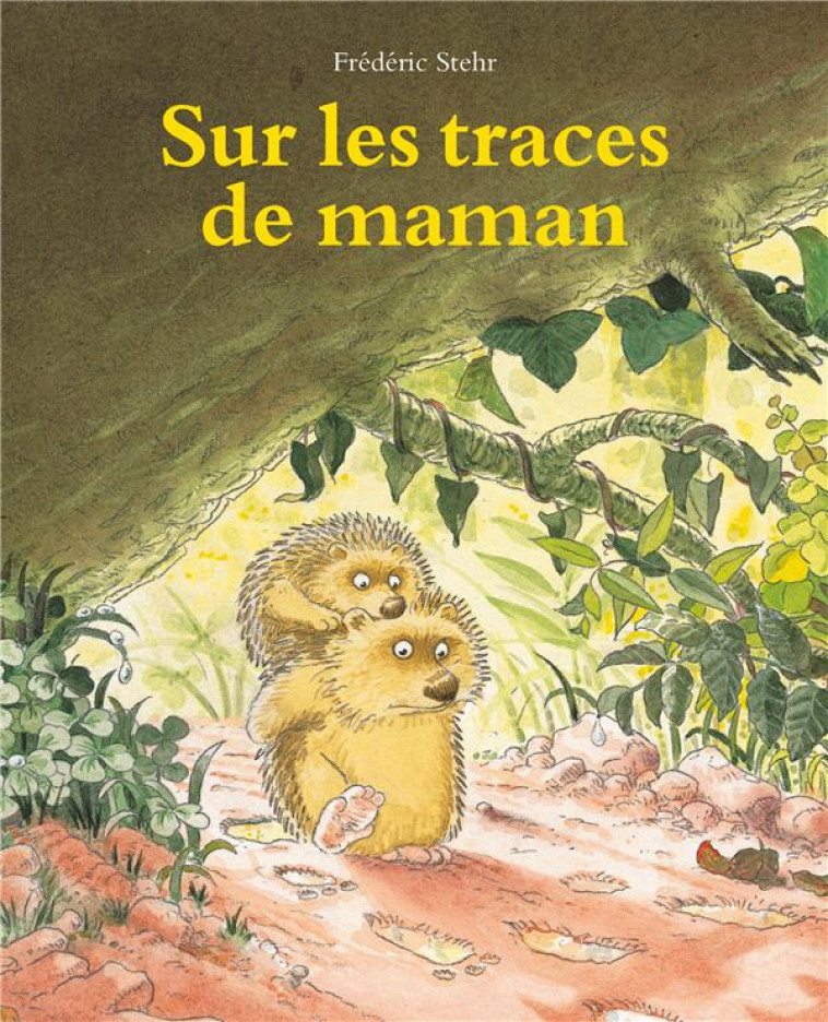 SUR LES TRACES DE MAMAN - STEHR FREDERIC - EDL