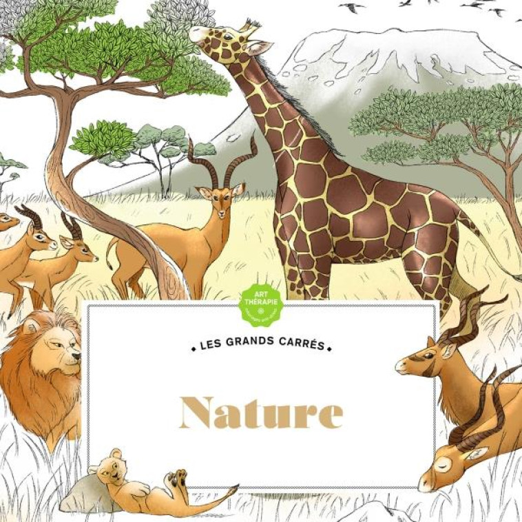 NATURE LES GRANDS CARRES ART THERAPIE - DUFOUR DIANE - HACHETTE