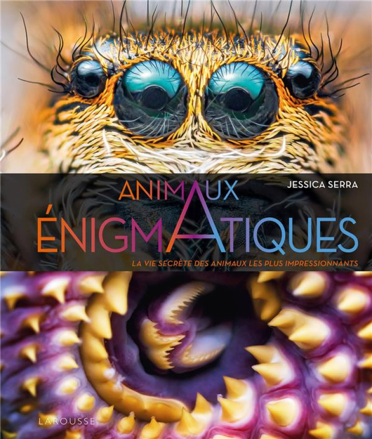 ANIMAUX ENIGMATIQUES - LA VIE SECRETE DES ANIMAUX LES PLUS IMPRESSIONNANTS - SERRA JESSICA - LAROUSSE