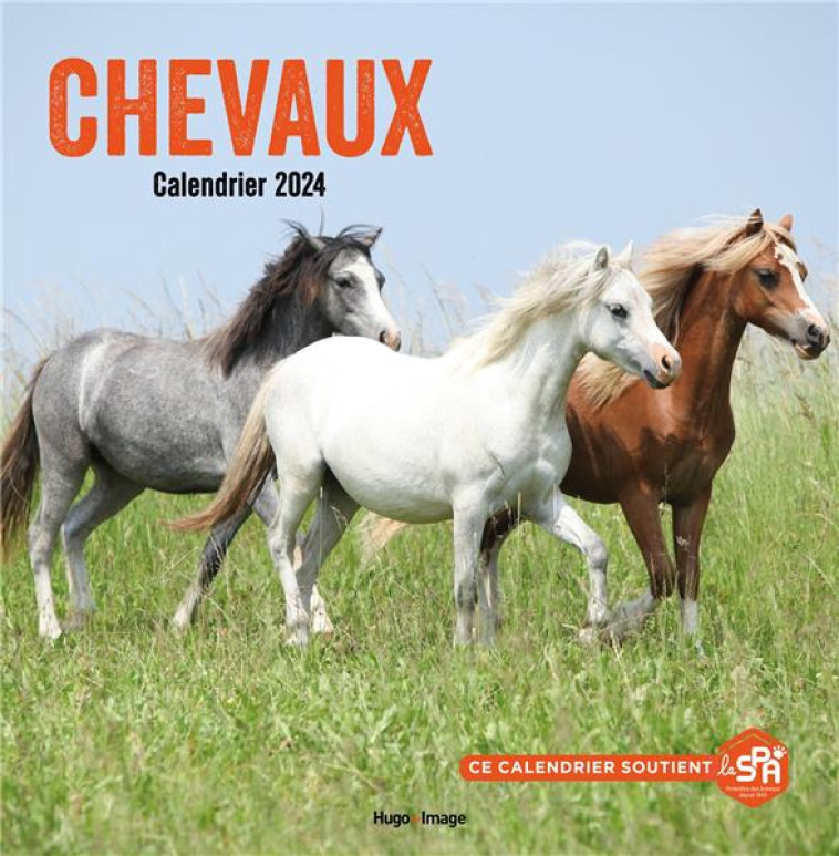 CALENDRIER MURAL CHEVAUX 2024 - COLLECTIF - NC