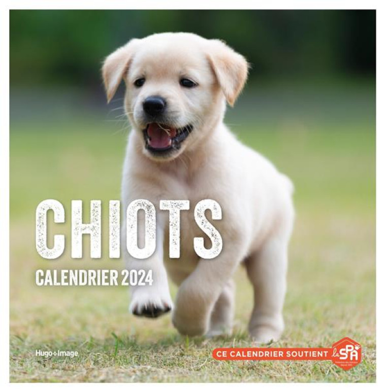 CALENDRIER MURAL CHIOTS 2024 - COLLECTIF - NC