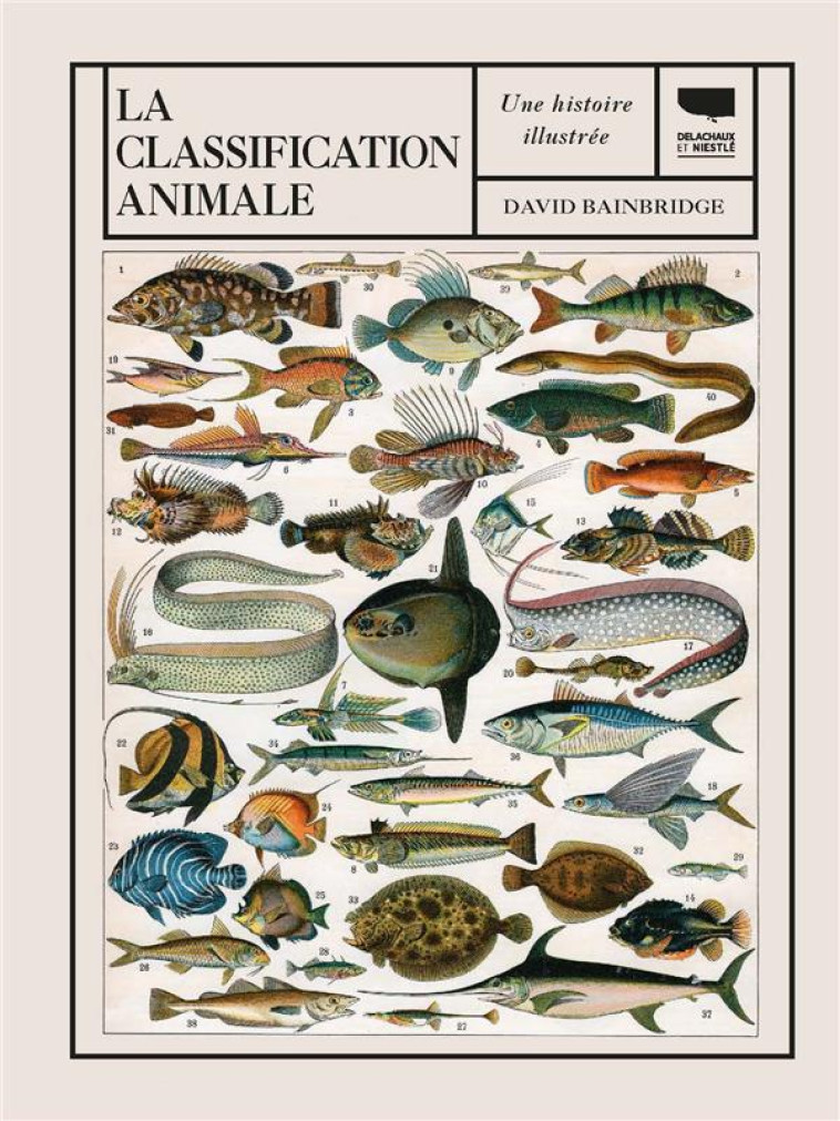 LA CLASSIFICATION ANIMALE - UNE HISTOIRE ILLUSTREE - BAINBRIDGE DAVID - DELACHAUX