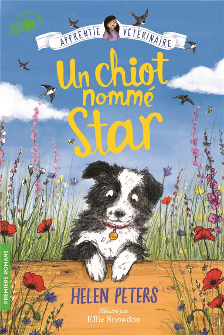 UN CHIOT NOMME STAR - PETERS/SNOWDON - GALLIMARD