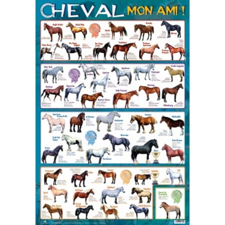 POSTERS RECTO VERSO/CHEVAL MON AMI ! SOLDE -30 - PICCOLIA - Piccolia