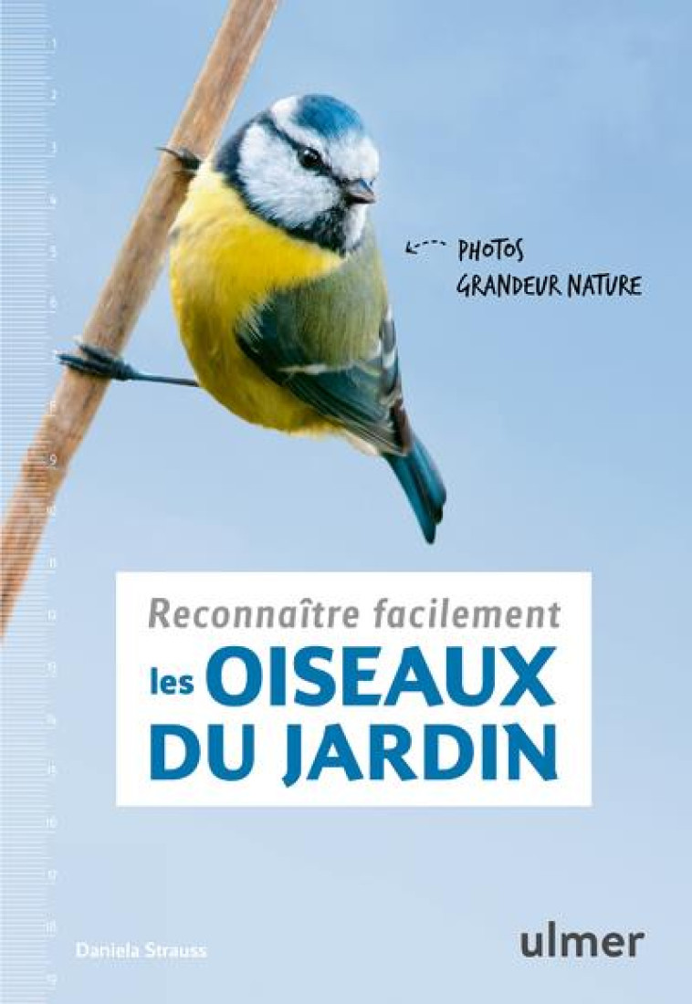 RECONNAITRE FACILEMENT LES OISEAUX DU JARDI N - PHOTOS GRANDEUR NATURE - STRAUSS DANIELA - ULMER