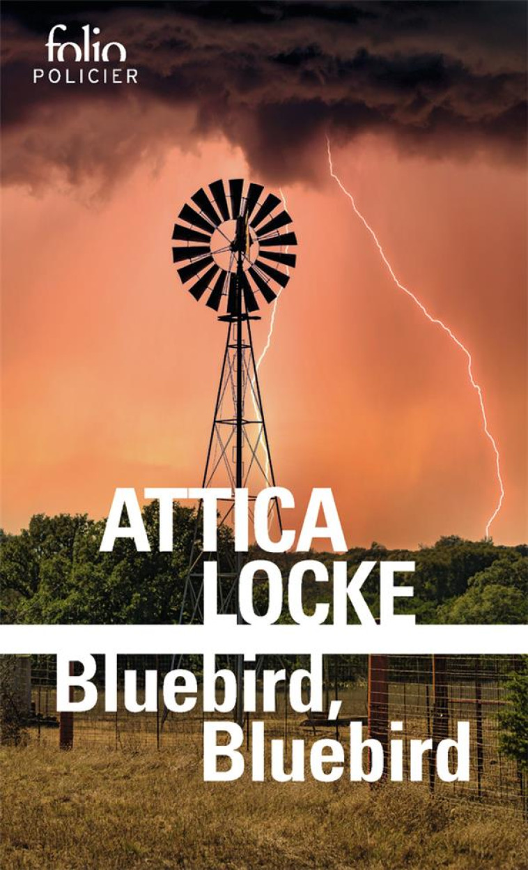 BLUEBIRD, BLUEBIRD - ATTICA LOCKE - GALLIMARD