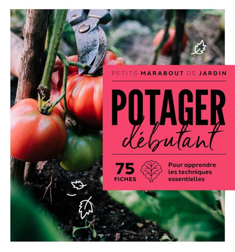 POTAGER DEBUTANT - XXX - MARABOUT