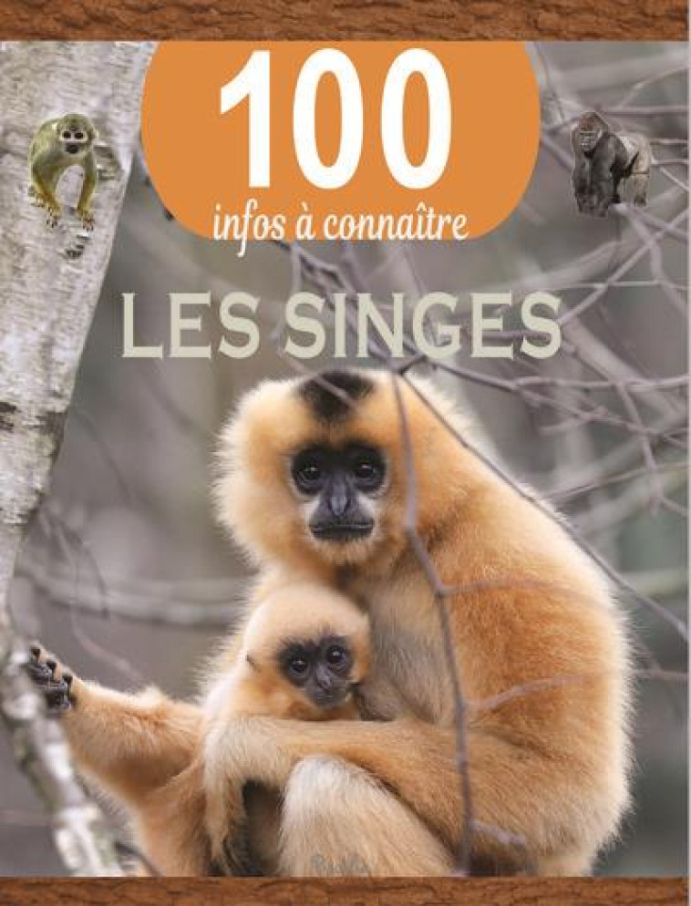 LES SINGES - COLLECTIF - PICCOLIA