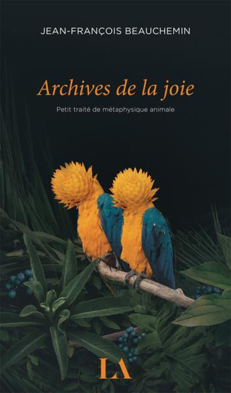 ARCHIVES DE LA JOIE - BEAUCHEMIN J-F. - QUEBEC AMERIQUE