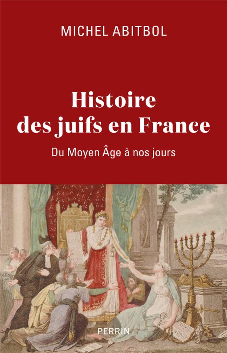 HISTOIRE DES JUIFS EN FRANCE - ABITBOL MICHEL - PERRIN