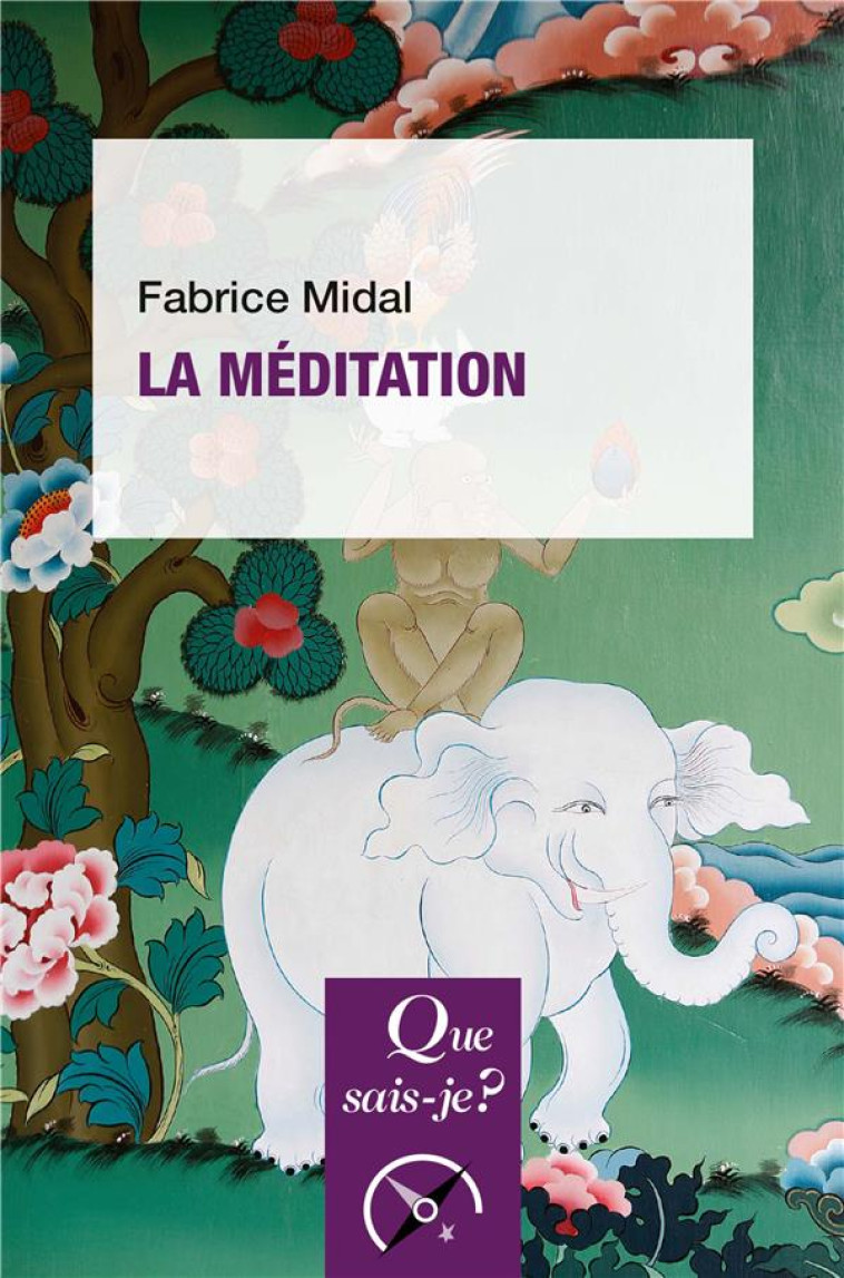 LA MEDITATION - MIDAL FABRICE - QUE SAIS JE