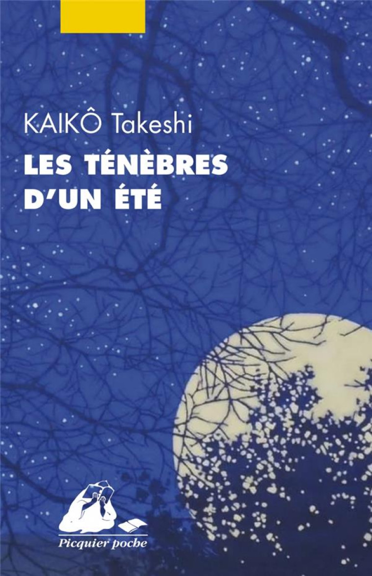 LES TENEBRES D-UN ETE - KAIKO - PICQUIER