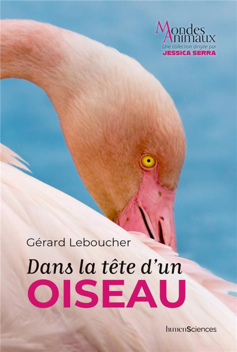 DANS LA TETE D-UN OISEAU - LEBOUCHER GERARD - HUMENSCIENCES