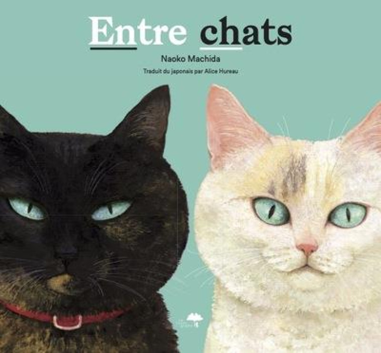 ENTRE CHATS - NAOKO MACHIDA - DU LUMIGNON