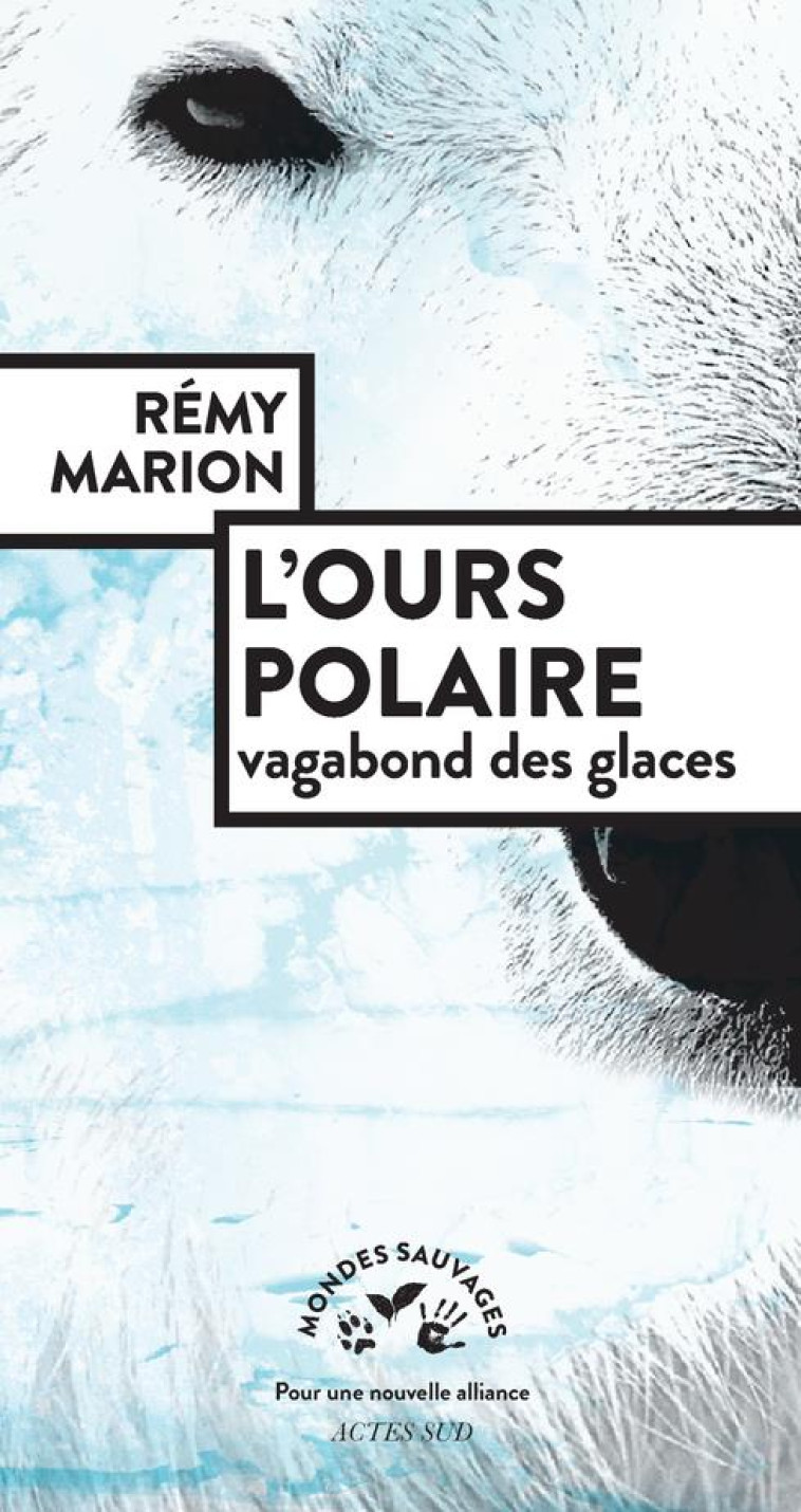 L-OURS POLAIRE - LE VAGABOND DES GLACES - MARION REMY - ACTES SUD