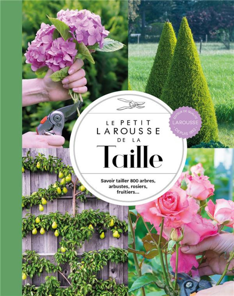 LE PETIT LAROUSSE DE LA TAILLE - COLLECTIF - LAROUSSE