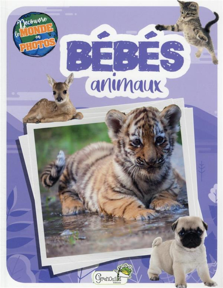 BEBES ANIMAUX - COLLECTIF - GRENOUILLE