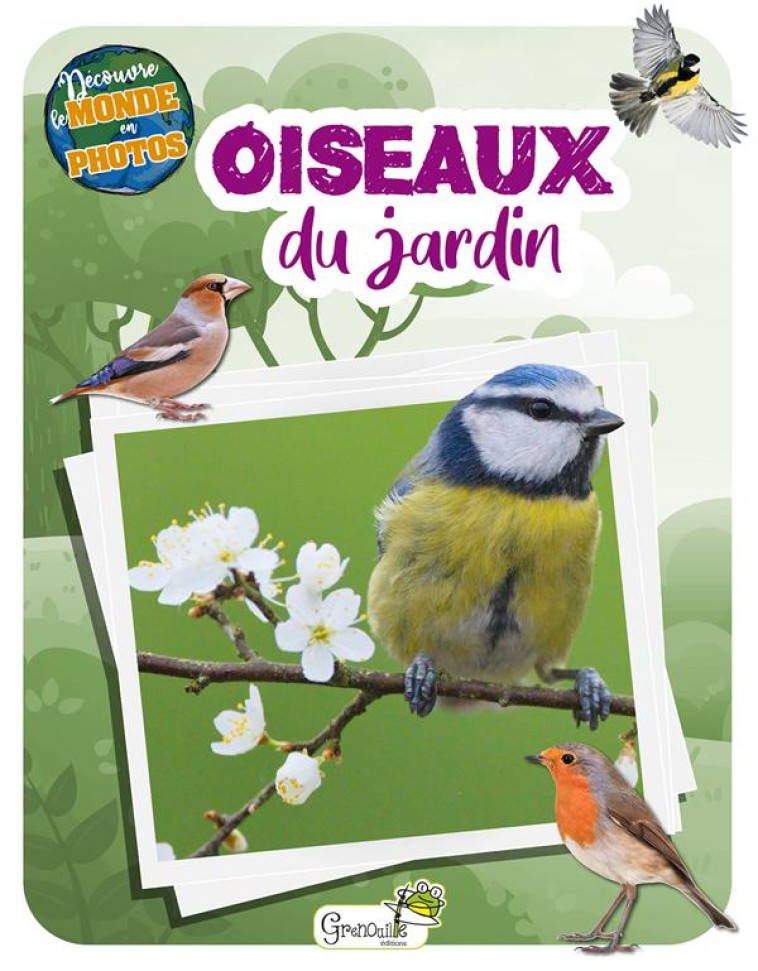 LES OISEAUX DU JARDIN - COLLECTIF - GRENOUILLE