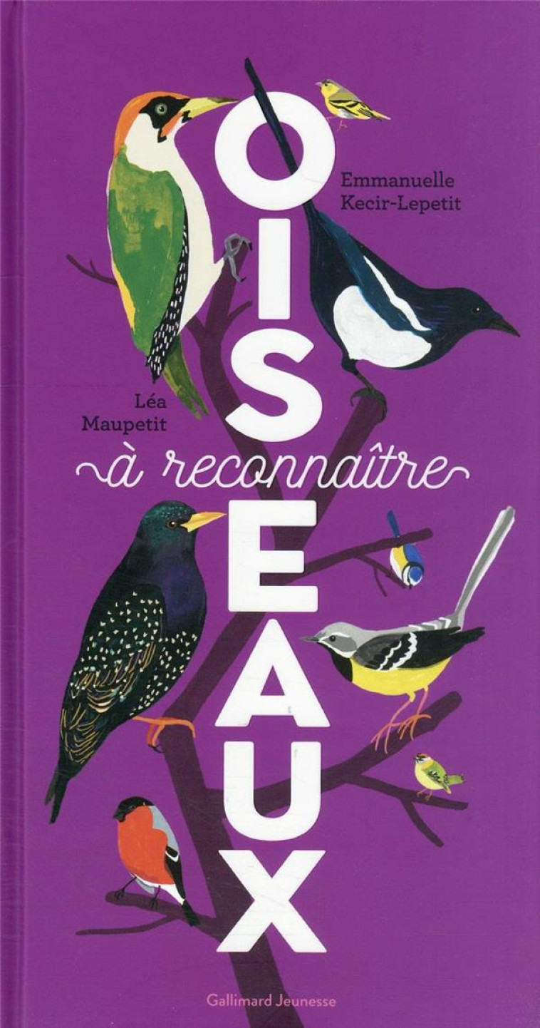 OISEAUX A RECONNAITRE - KECIR-LEPETIT/MAUPETIT - GALLIMARD