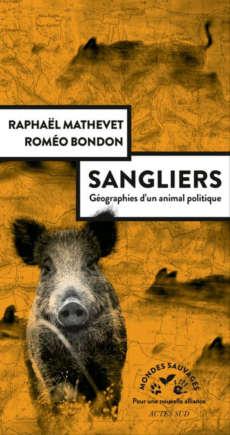 SANGLIERS, GEOGRAPHIES D-UN ANIMAL POLITIQUE - MATHEVET RAPHAEL/BON - ACTES SUD