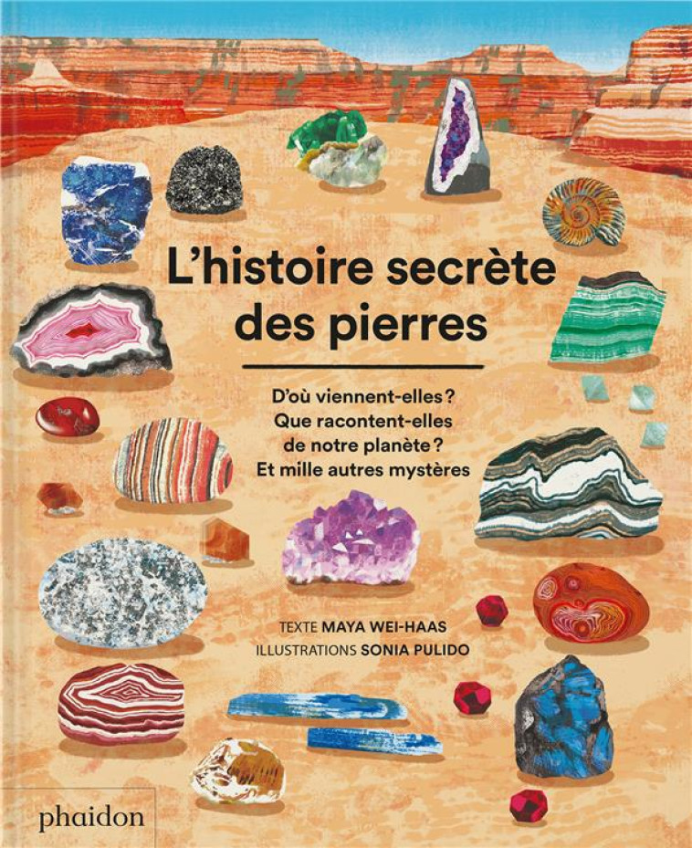 L-HISTOIRE SECRETE DES PIERRES - PULIDO/WEI-HAAS - NC