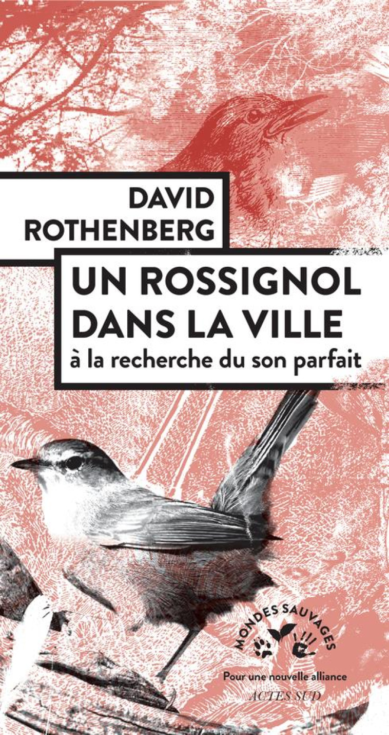 UN ROSSIGNOL DANS LA VILLE - ROTHENBERG DAVID - ACTES SUD