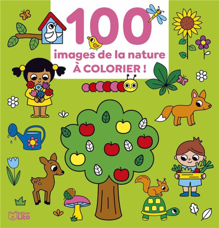 100 IMAGES A COLORIER JARDIN - XXX - LITO