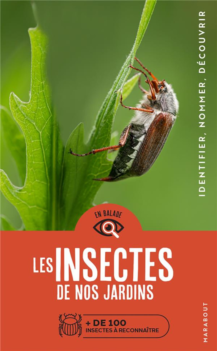 LES INSECTES DE NOS JARDINS - COLLECTIF - MARABOUT