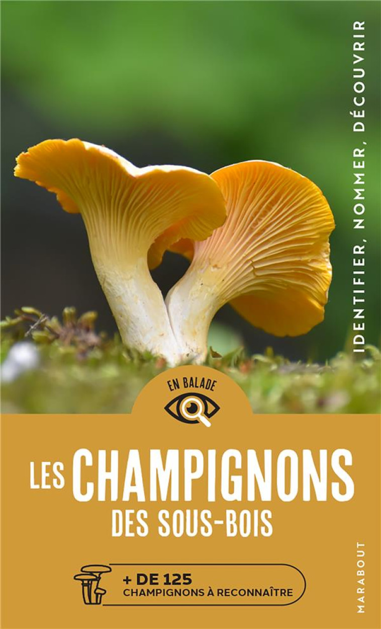 CHAMPIGNONS DES SOUS-BOIS - COLLECTIF - MARABOUT