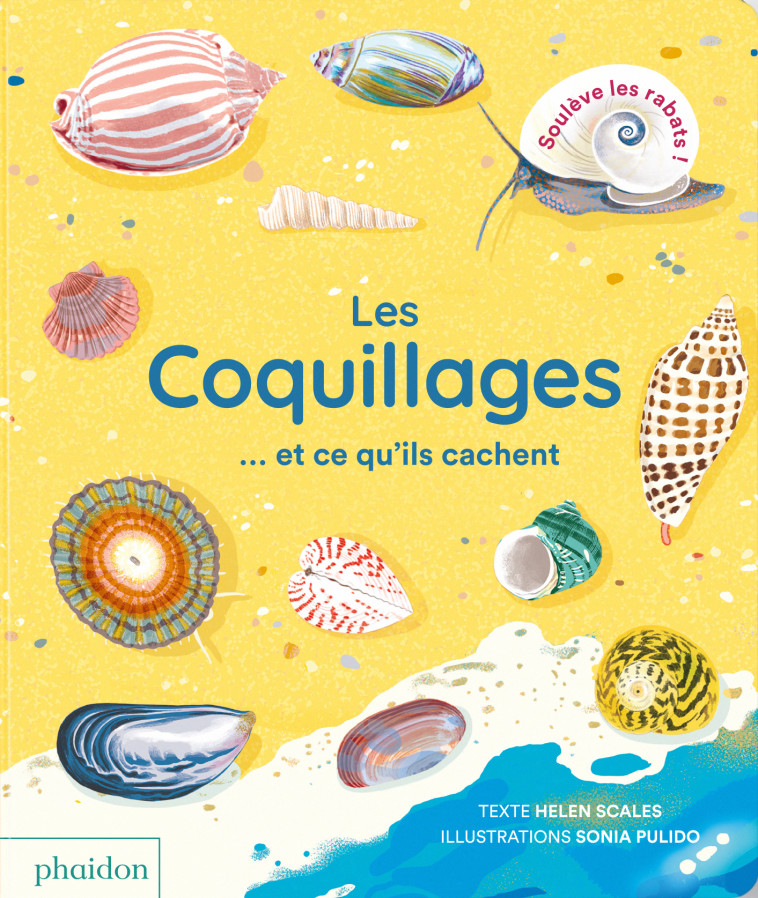 LES COQUILLAGES  ET CE QU-ILS CACHENT - SCALES/PULIDO - PHAIDON FRANCE