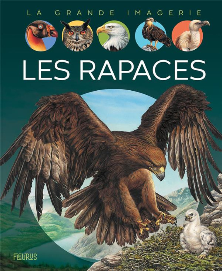 LES RAPACES ETAGERE J - BOCCADOR SABINE - FLEURUS