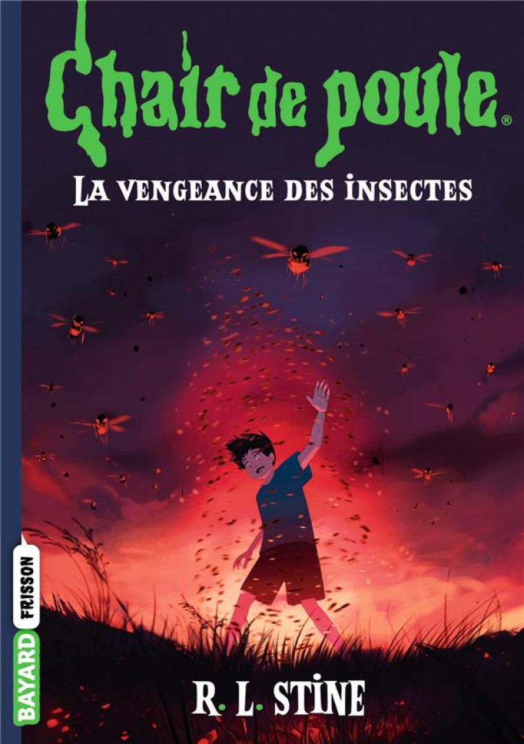 CHAIR DE POULE T11 LA VENGEANCE DES INSECTES - STINE/VIDAL - BAYARD JEUNESSE