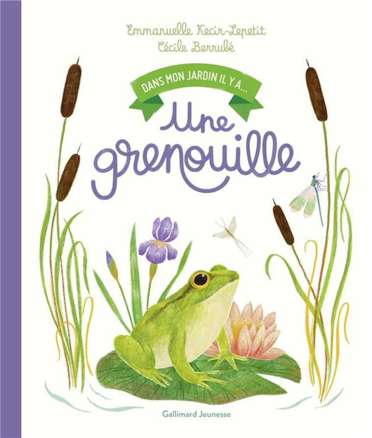 UNE GRENOUILLE - KECIR-LEP/BERRUBE - GALLIMARD