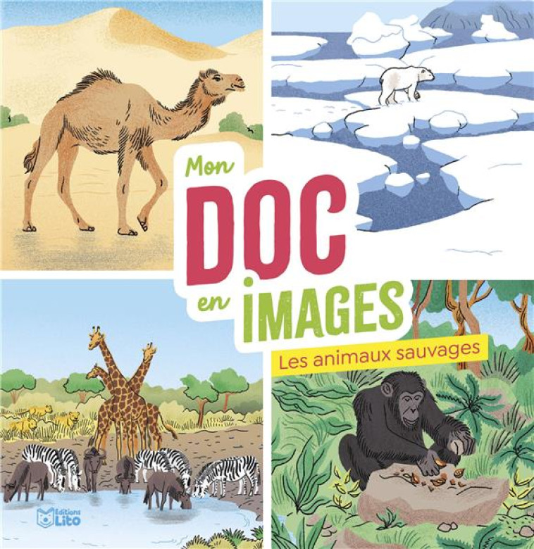 MON DOC EN IMAGES ANIMAUX SAUVAGES - DESFOUR/PERRET - LITO