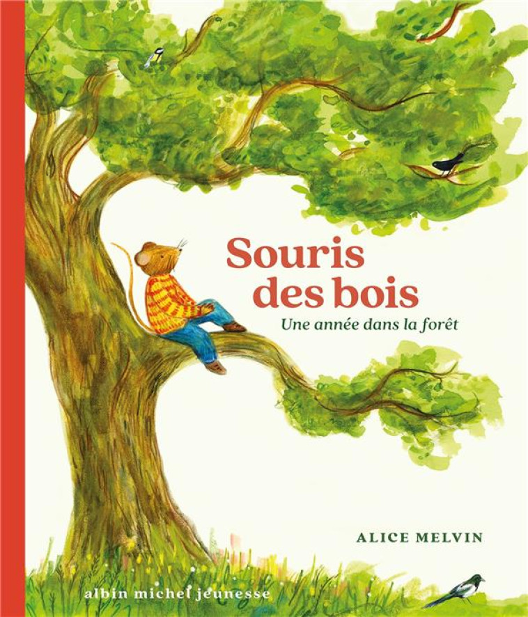 SOURIS DES BOIS - UNE ANNEE DANS LA FORET - MELVIN ALICE - ALBIN MICHEL